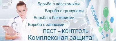 Как избавиться от клопов?