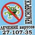 Удалениe компьютерных вирусoв.Сервисный Центр.