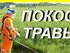 Услуги покоса травы. Поможем Скосить траву, сорняки на  вашем участке, покос травы в саду 