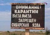 Минздрав опроверг данные о сибирской язве в Красноярском крае